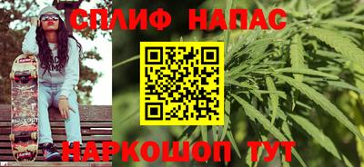 шишки Берёзовский
