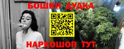 шишки Берёзовский