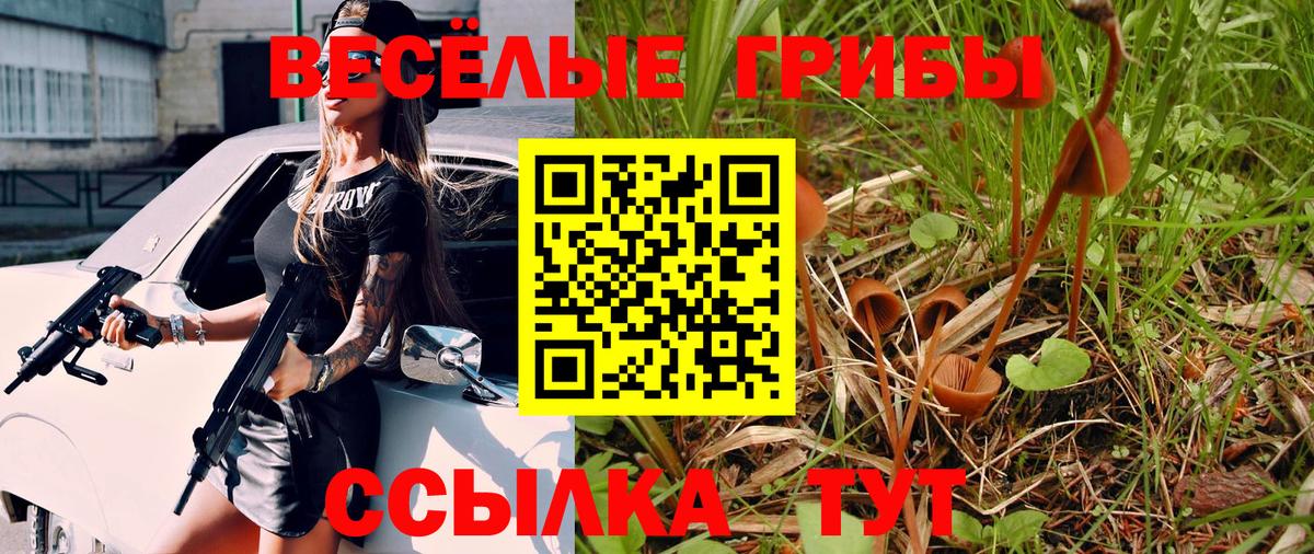 Псилоцибиновые грибы Psilocybine cubensis Кизилюрт